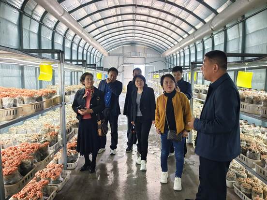 b8f10761f8c3009ea5520e43cd21714