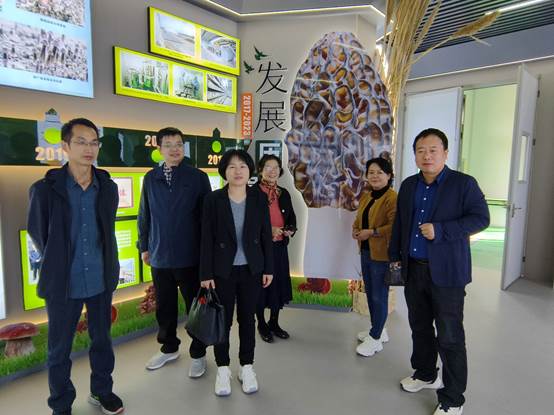 b87ee68a1f665af25e0178d392c294d